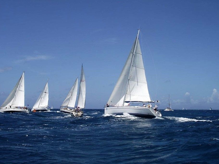 A fleet crossing open water during Antigua Sailing Week