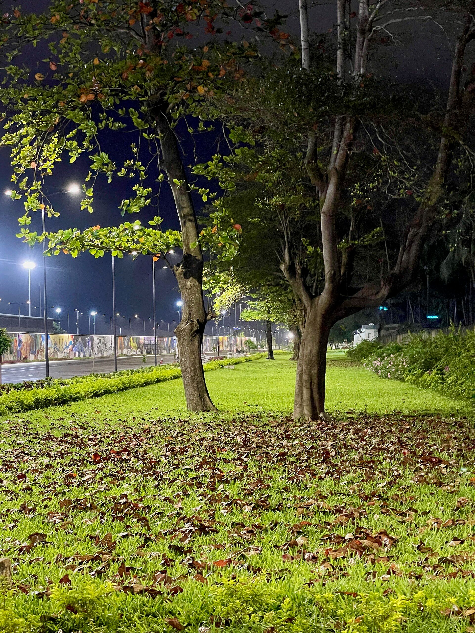 Boulevard de la Marina in Cotonou at night