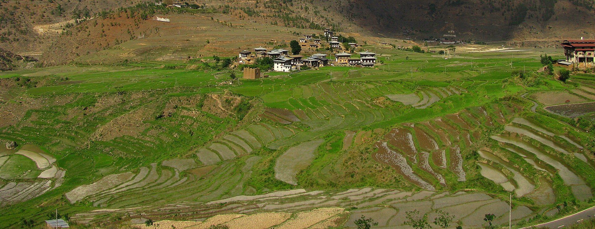 Terraced rice agriculture in Paro district, Bhutan