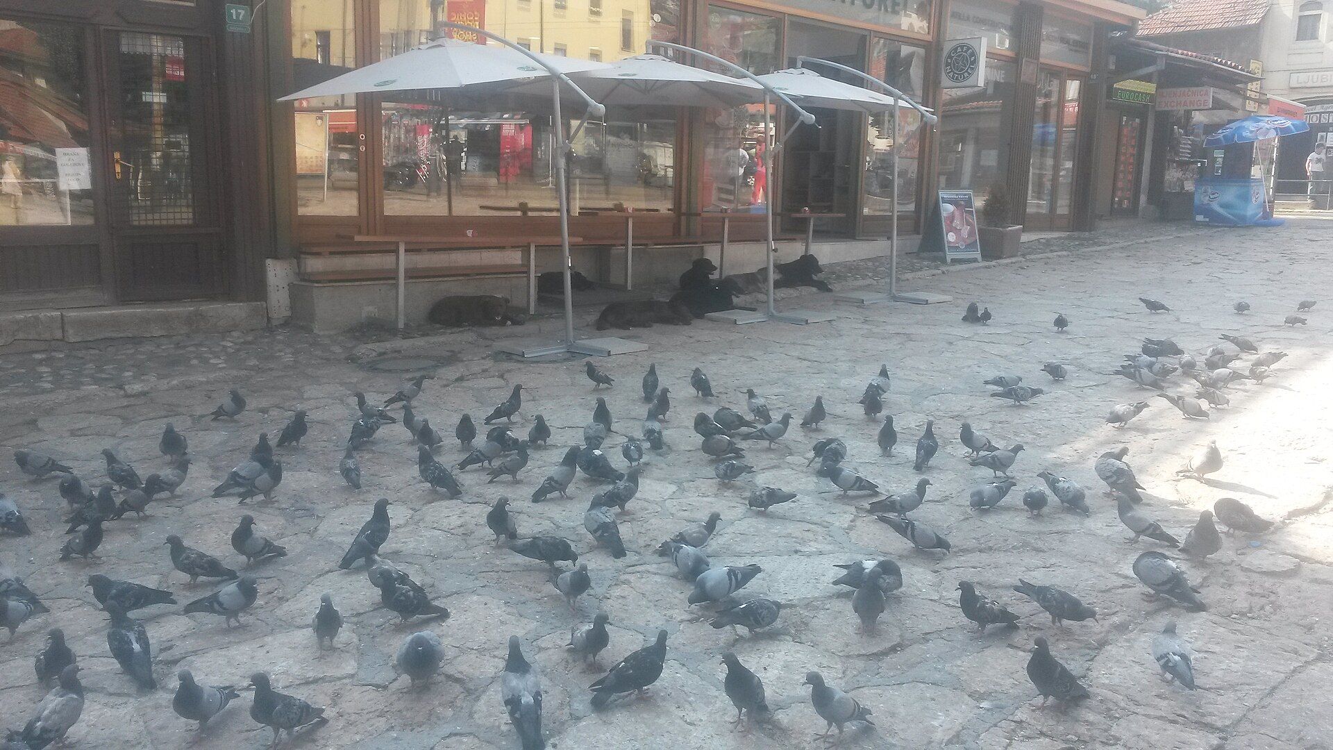 Baščaršija historic market district in Sarajevo