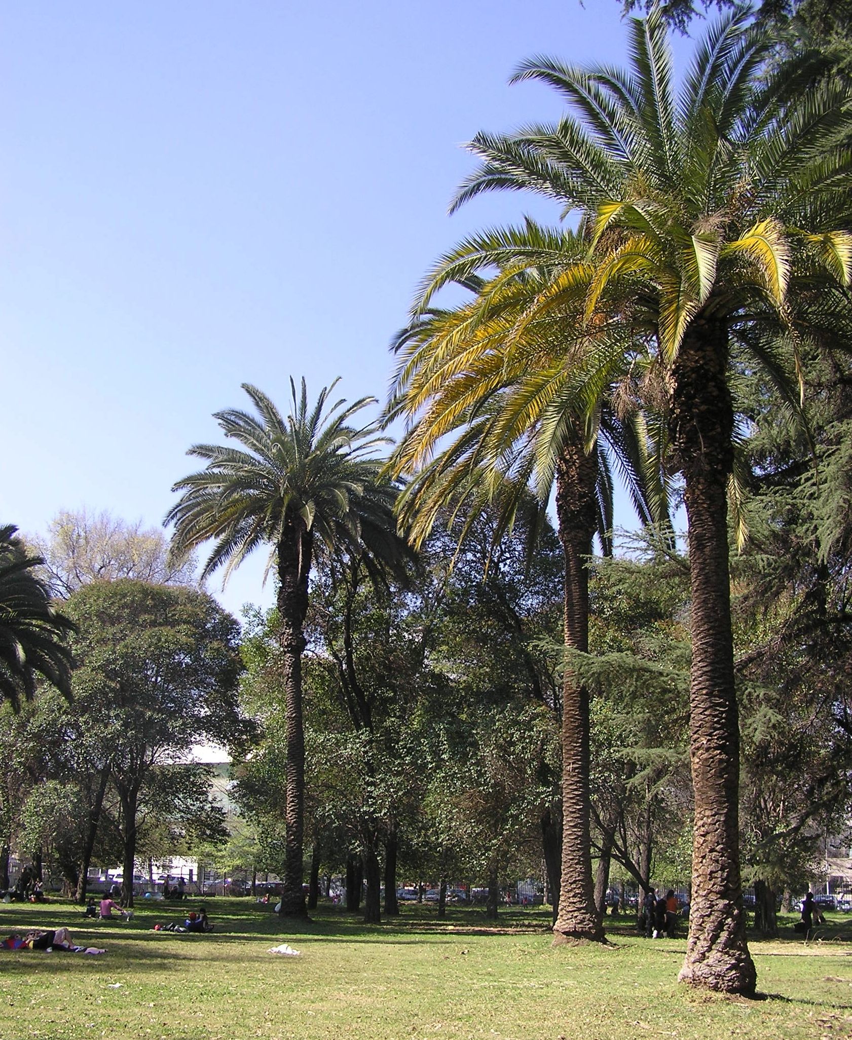 Authentic Santiago destination context