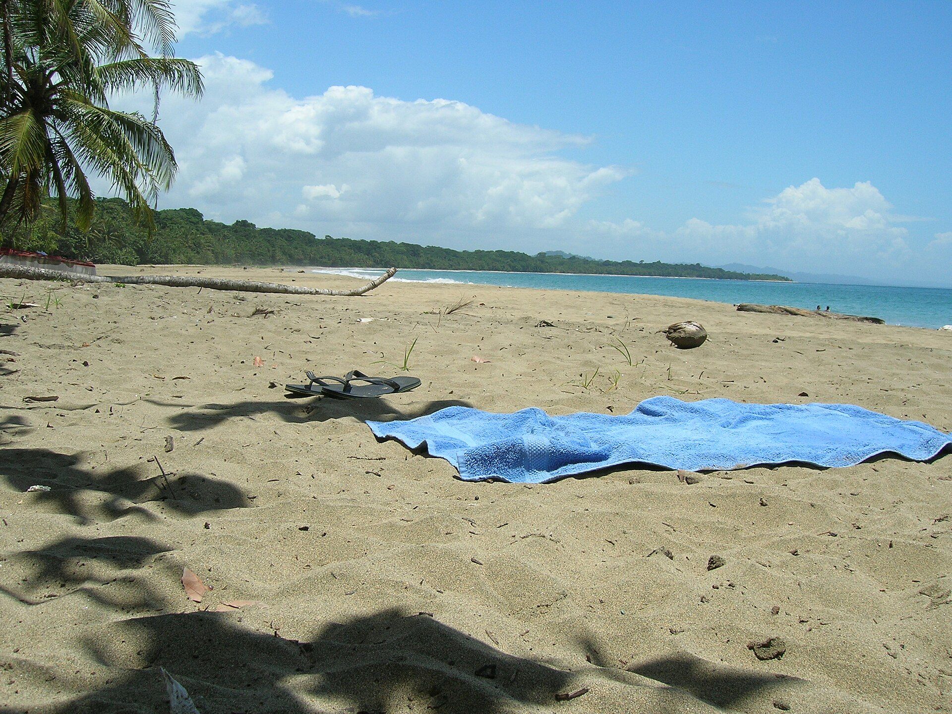 Authentic Costa Rican trail and coastal destination context