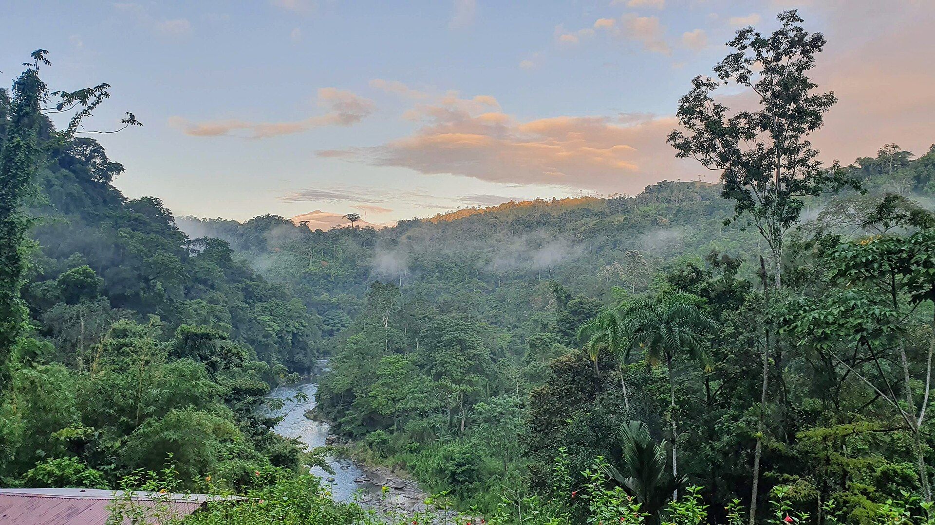 Authentic Costa Rican trail and coastal destination context