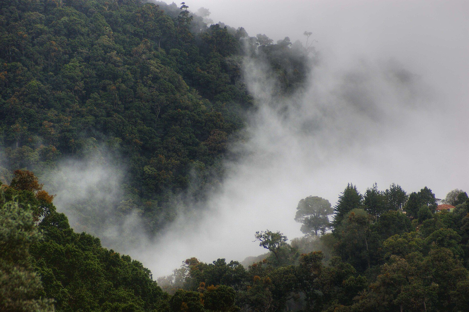 Authentic Costa Rican trail and coastal destination context
