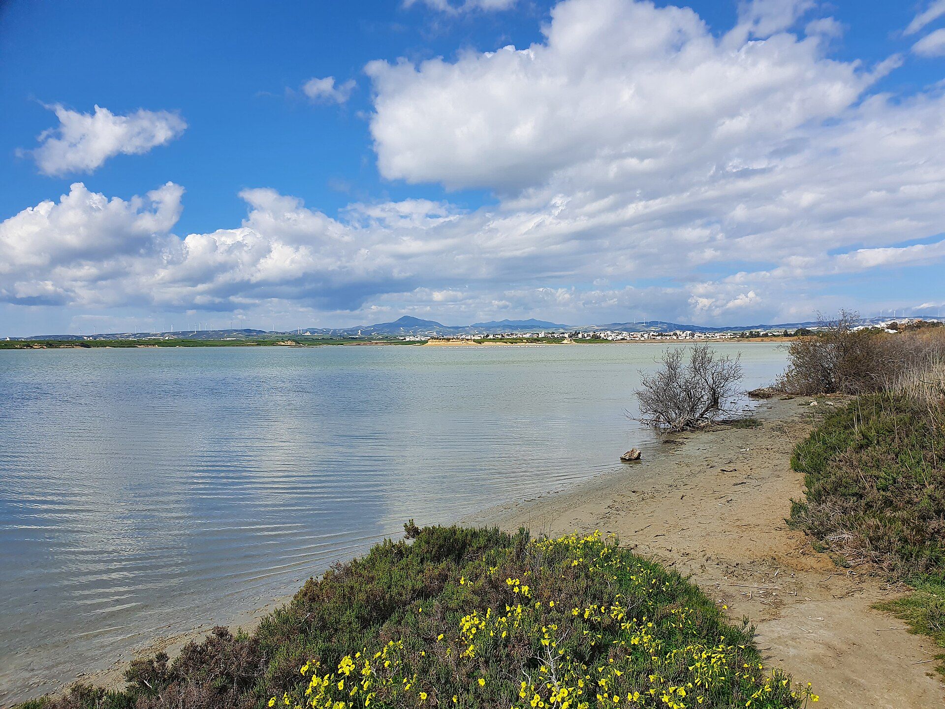 Authentic Larnaka destination context